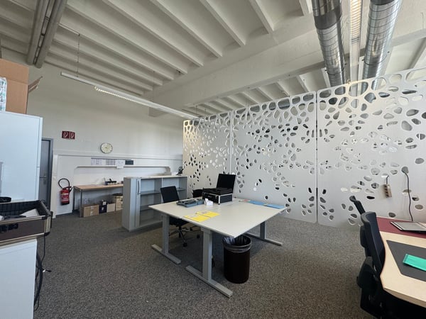 Grosszügige Büroräume mit 360 m² in Niedergösgen 2