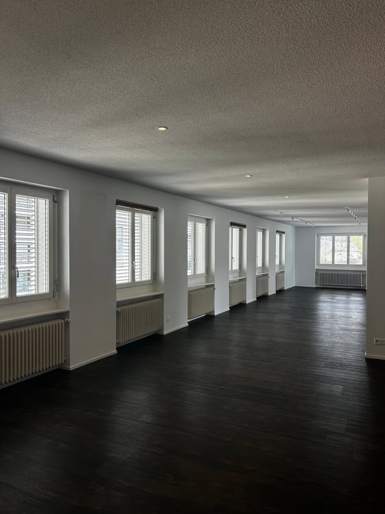 Aussergewöhnliche Designwohnung mit offenem Wohnkonzept im Herzen von Reinach 5