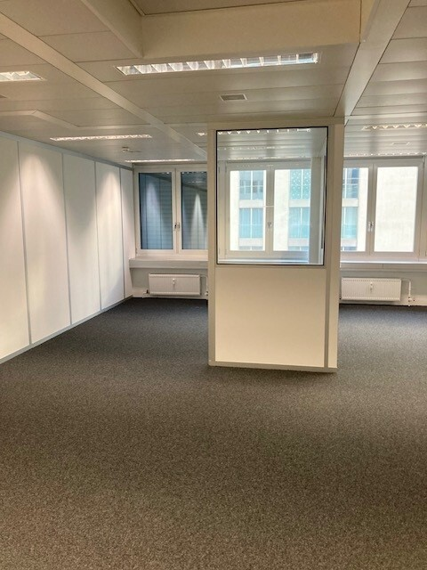 Planen Sie Ihr Startup in Schlieren-Zürich 8