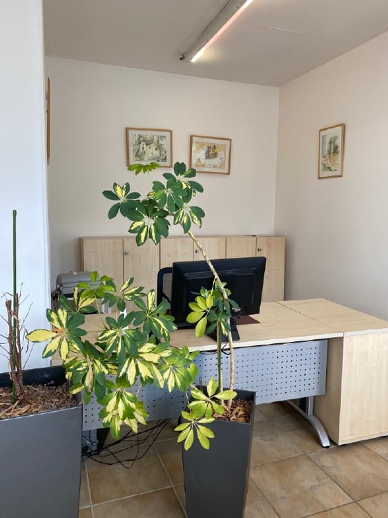 Bürofläche im Parterre zu vermieten 6