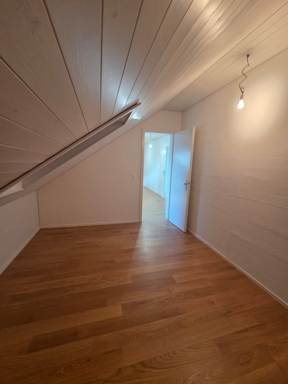 Wir vermieten eine schöne renovierte 1-Zimmerdachwohnung 8