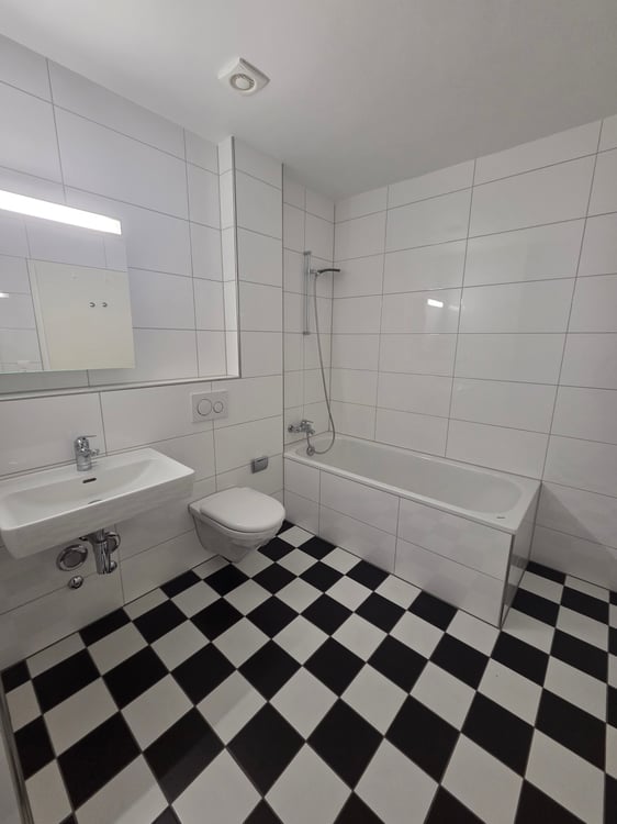 Wir vermieten eine schöne renovierte 1-Zimmerdachwohnung 11