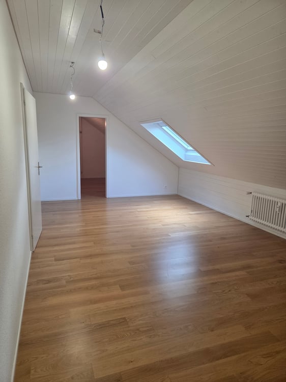 Wir vermieten eine schöne renovierte 1-Zimmerdachwohnung 10