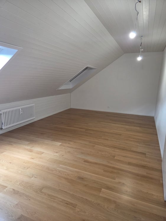 Wir vermieten eine schöne renovierte 1-Zimmerdachwohnung 7