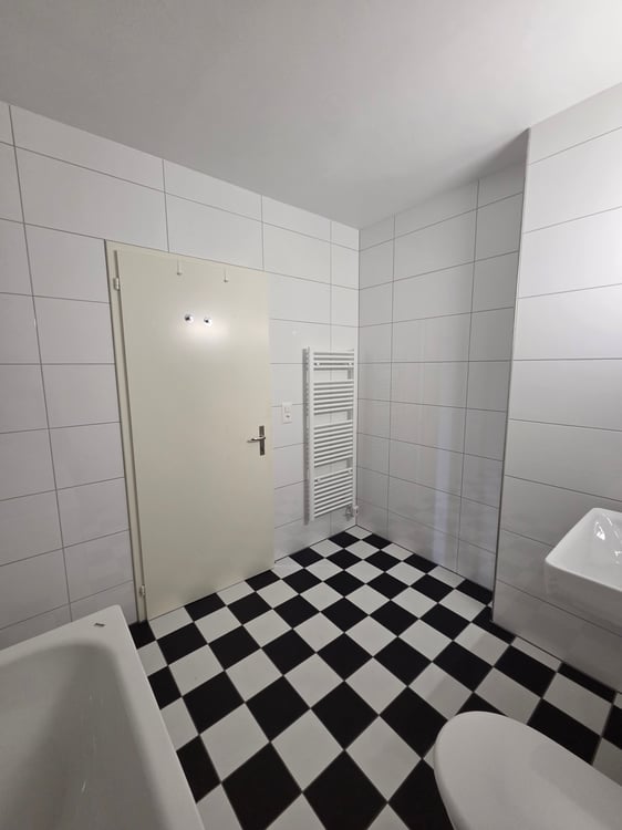 Wir vermieten eine schöne renovierte 1-Zimmerdachwohnung 12