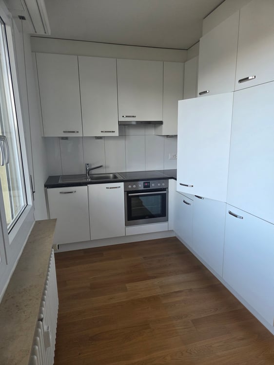 Wir vermieten eine schöne renovierte 1-Zimmerdachwohnung 4