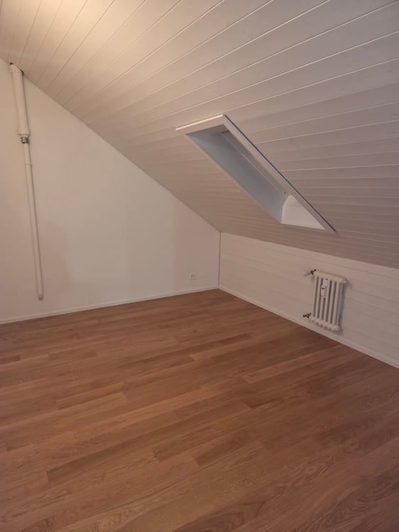 Wir vermieten eine schöne renovierte 1-Zimmerdachwohnung 9