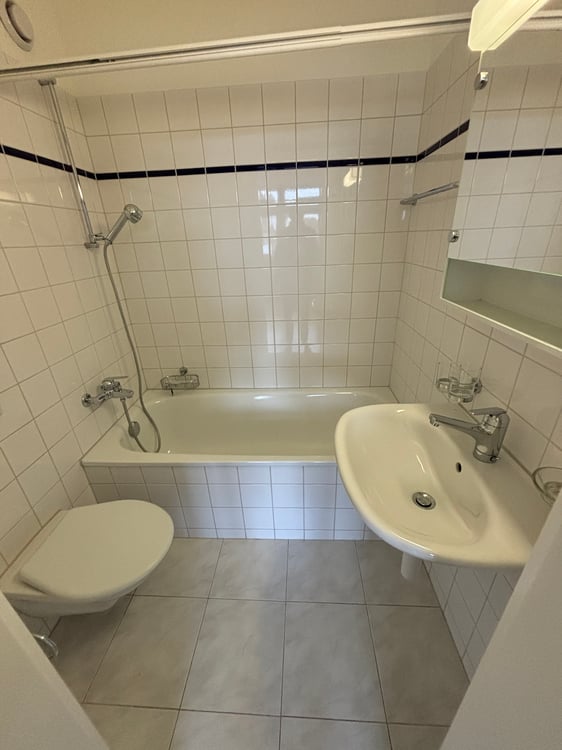 Gemütliche 1-Zimmerwohnung in ruhigem Quartier zu vermieten 5