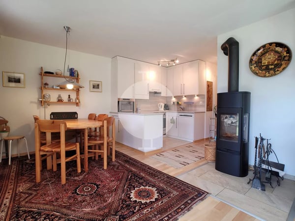 Magnifique appartement d'angle de 1.5 pièces entièrement rénové avec grand jardin et vue imprenable sur les montagnes et la Vallée du Rhône 3