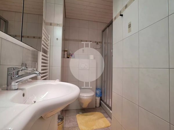 Magnifique appartement d'angle de 1.5 pièces entièrement rénové avec grand jardin et vue imprenable sur les montagnes et la Vallée du Rhône 6