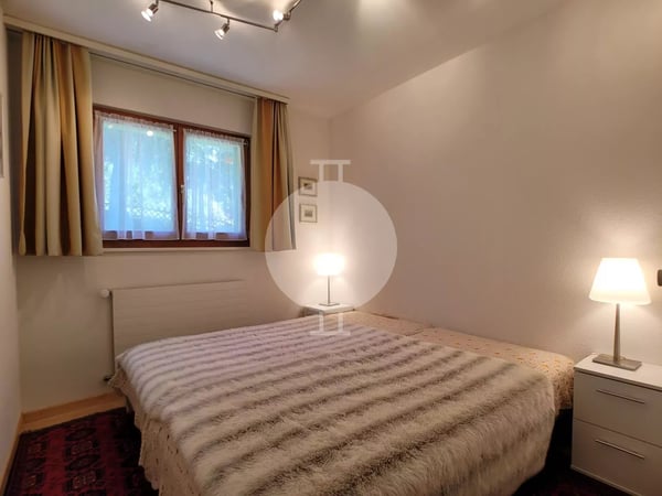 Magnifique appartement d'angle de 1.5 pièces entièrement rénové avec grand jardin et vue imprenable sur les montagnes et la Vallée du Rhône 4