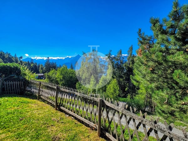 Magnifique appartement 1.5 pièces en rez-de-jardin situé aux Mayens-de-l'Ours 5