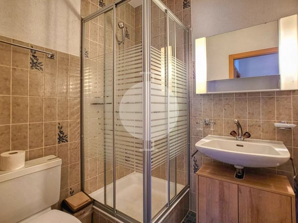 Magnifique appartement 1.5 pièces en rez-de-jardin situé aux Mayens-de-l'Ours 10