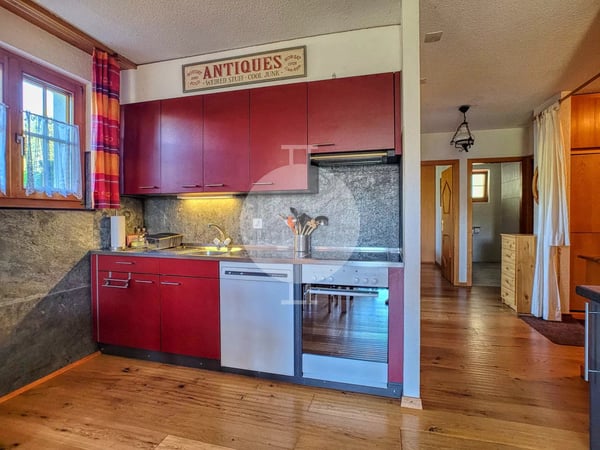 Magnifique appartement 1.5 pièces en rez-de-jardin situé aux Mayens-de-l'Ours 3