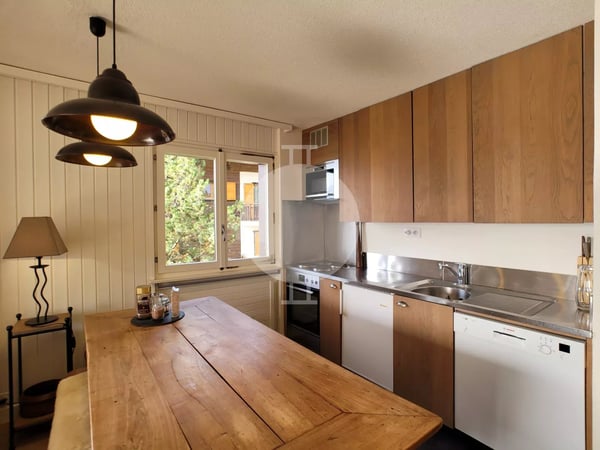 Charmant appartement 3.5 pièces entièrement rénové avec vue sur les montagnes 6