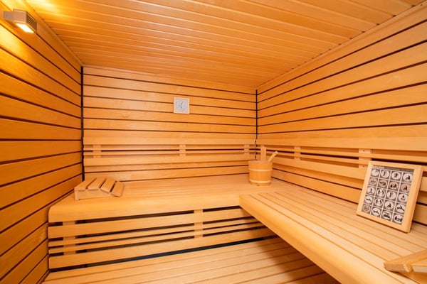 Superbe Triplex - Crans montana 21