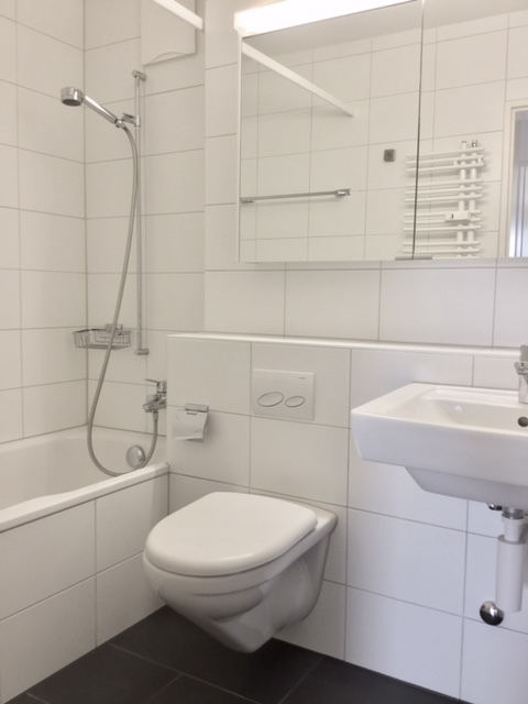 In einer ruhigen Gegend vermieten wir eine 5 1/2-Zimmerwohnung 9