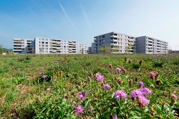 ***3.5ZWG**82m**grosser Eck-Balkon**Abendsonne*** 2