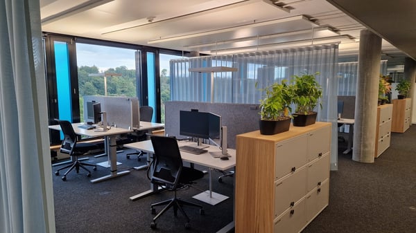 Wachstum beginnt hier: Ideal für Büro, Praxis oder Schule! 5