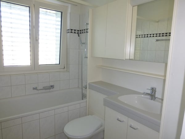 1-Zimmer-Wohnung in gepflegter Liegenschaft zu vermieten 3