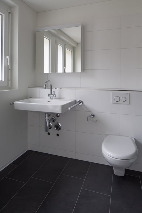 klein aber fein, 1-Zimmerwohnung mit Charm 3