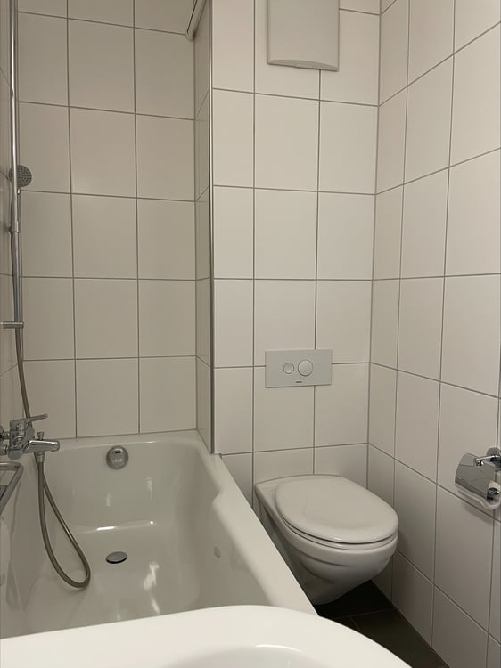 Helle 3.5-Zimmerwohnung in Meisterschwanden 4