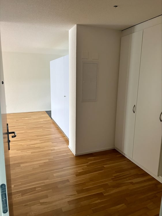 Helle und moderne Wohnung mit Gartensitzplatz 2