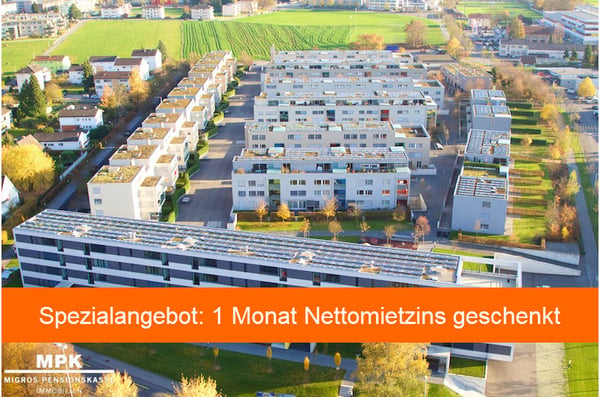 Attikawohnung mit Terrasse / Spezialangebot 1 Monat gratis