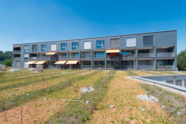Moderne Wohnung an zentraler Lage 1