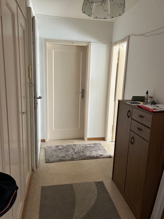 1-Zimmer-Wohnung in Zürich-Affoltern 4