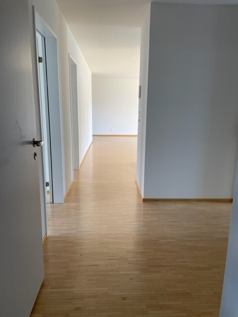Moderne Wohnung mit 2 Nasszellen sucht neue Mieterschaft ... 7
