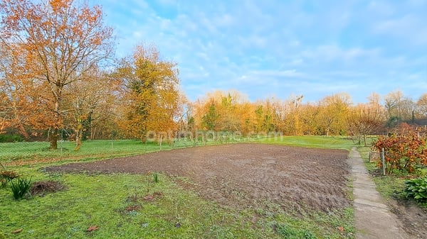 Proche de SAINT PALAIS (64) 7