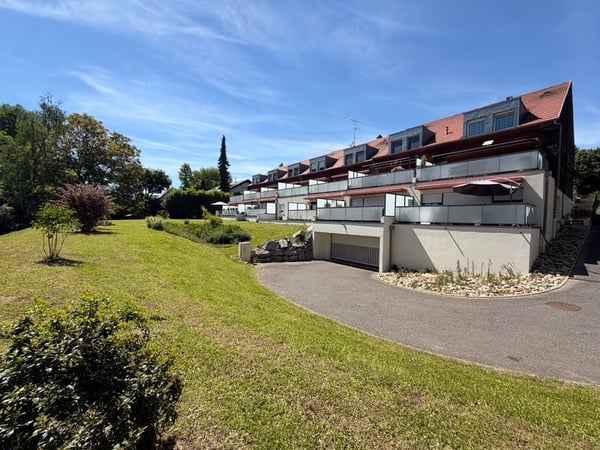 Duplex d'exception aux portes de la Suisse - Terrasse, jardin, vue 1