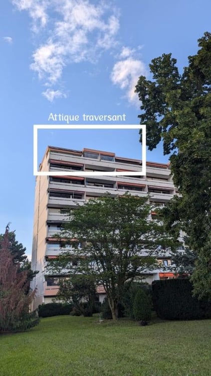 Attique traversant - Vue panoramique Mont-Blanc & Jura - 101 m² - 13