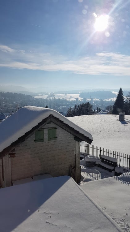 Villa d'exception avec vue panoramique et jardin ? 711 m² de terrain sur la chaux de fonds 1