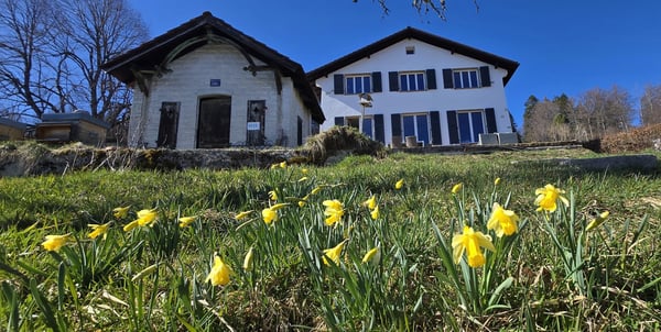Villa d'exception avec vue panoramique et jardin ? 711 m² de terrain sur la chaux de fonds 3