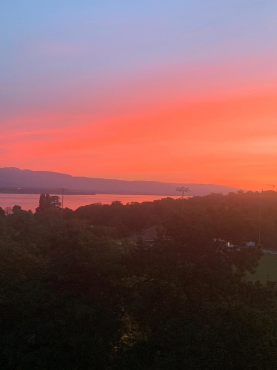 Aperçu de l'image de l'immobilier