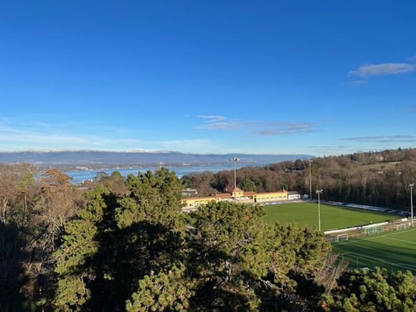 Luxe et panorama exclusif à Cologny! 2