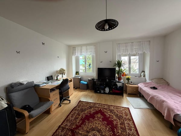 Lot d'un Immeuble de rendement avec deux parcelles de terrain constructibles au Locle(NE) 5