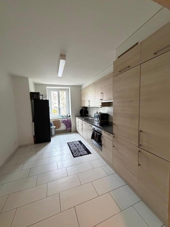 Lot d'un Immeuble de rendement avec deux parcelles de terrain constructibles au Locle(NE) 8