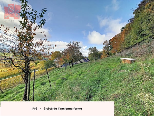 Luins, Domaine viticole avec forêt, vue imprenable lac 4