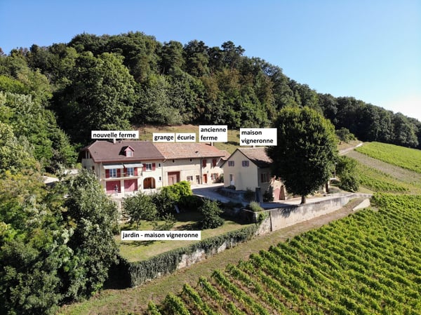 Luins, Domaine viticole avec forêt, vue imprenable lac 3
