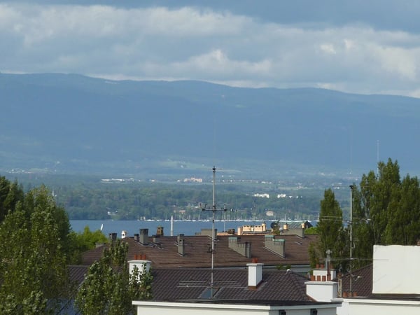 ATTIQUE AU COEUR DE FLORISSANT 5