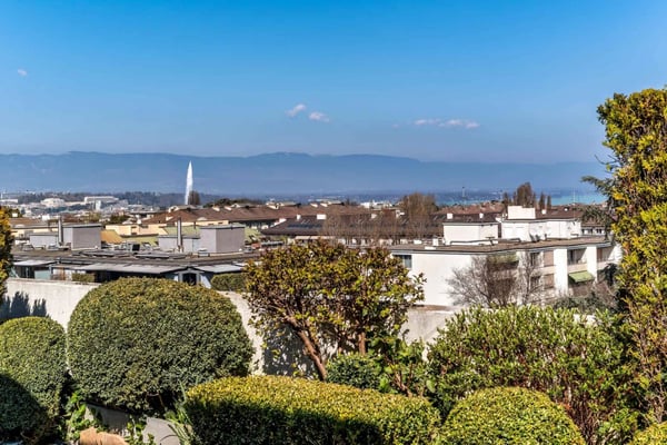 ATTIQUE AU COEUR DE FLORISSANT 4