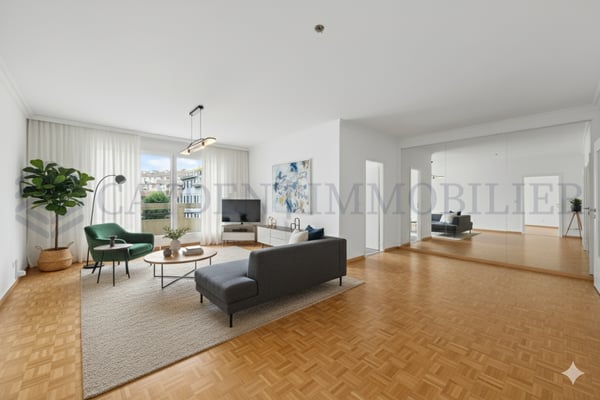 Magnifique 1 pièces à Plainpalais 2