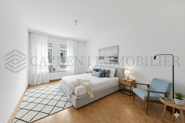 Magnifique 1 pièces à Plainpalais 4