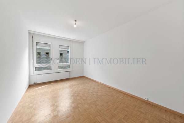 Magnifique 1 pièces à Plainpalais 6