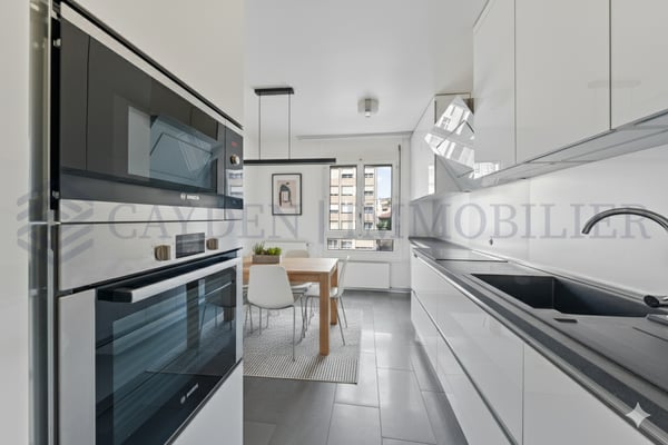 Magnifique 1 pièces à Plainpalais 3