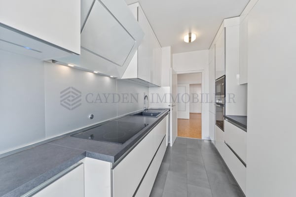 Magnifique 1 pièces à Plainpalais 5