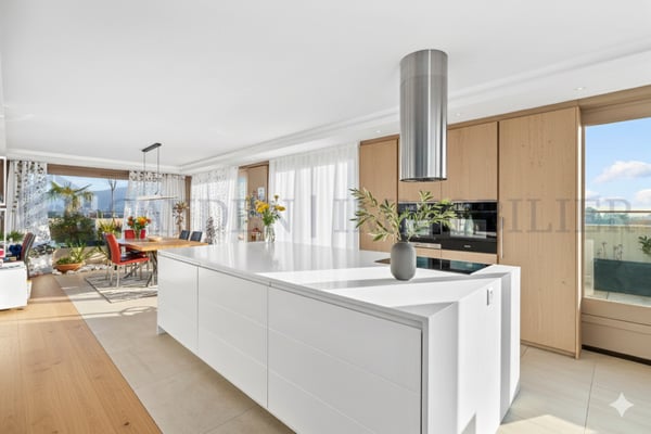 Attique avec vue panoramique 2